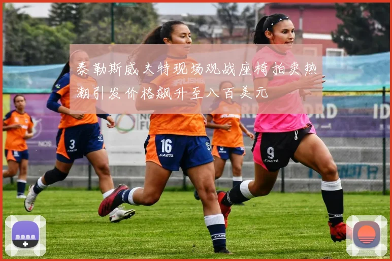 泰勒斯威夫特现场观战座椅拍卖热潮引发价格飙升至八百美元